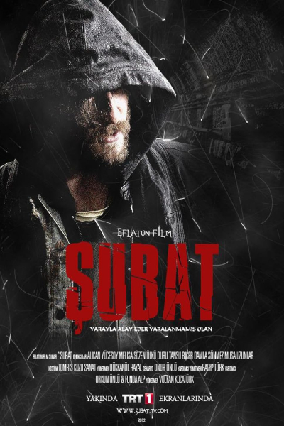 Şubat (2012) series poster